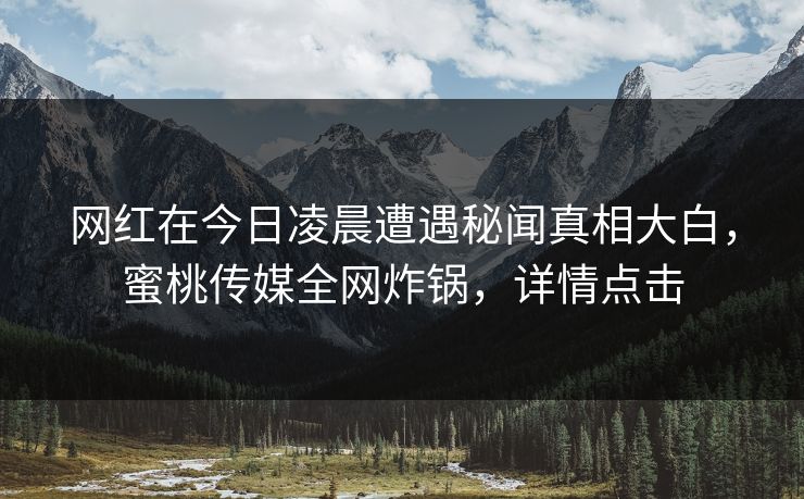 网红在今日凌晨遭遇秘闻真相大白，蜜桃传媒全网炸锅，详情点击